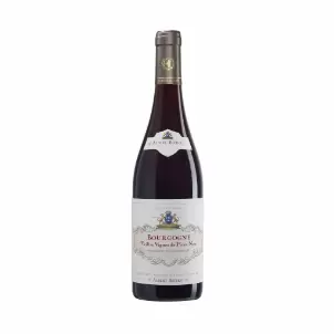 BICHOT P/NOIR VIELLES VIGNES 750 ML